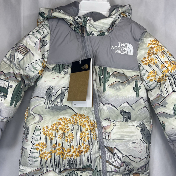 THE NORTH FACE TNF 1996 BABY NUPTSE WOLF DOWN ONE PIECE SNOWSUIT 18-24 MONTHS - Picture 2 of 12
